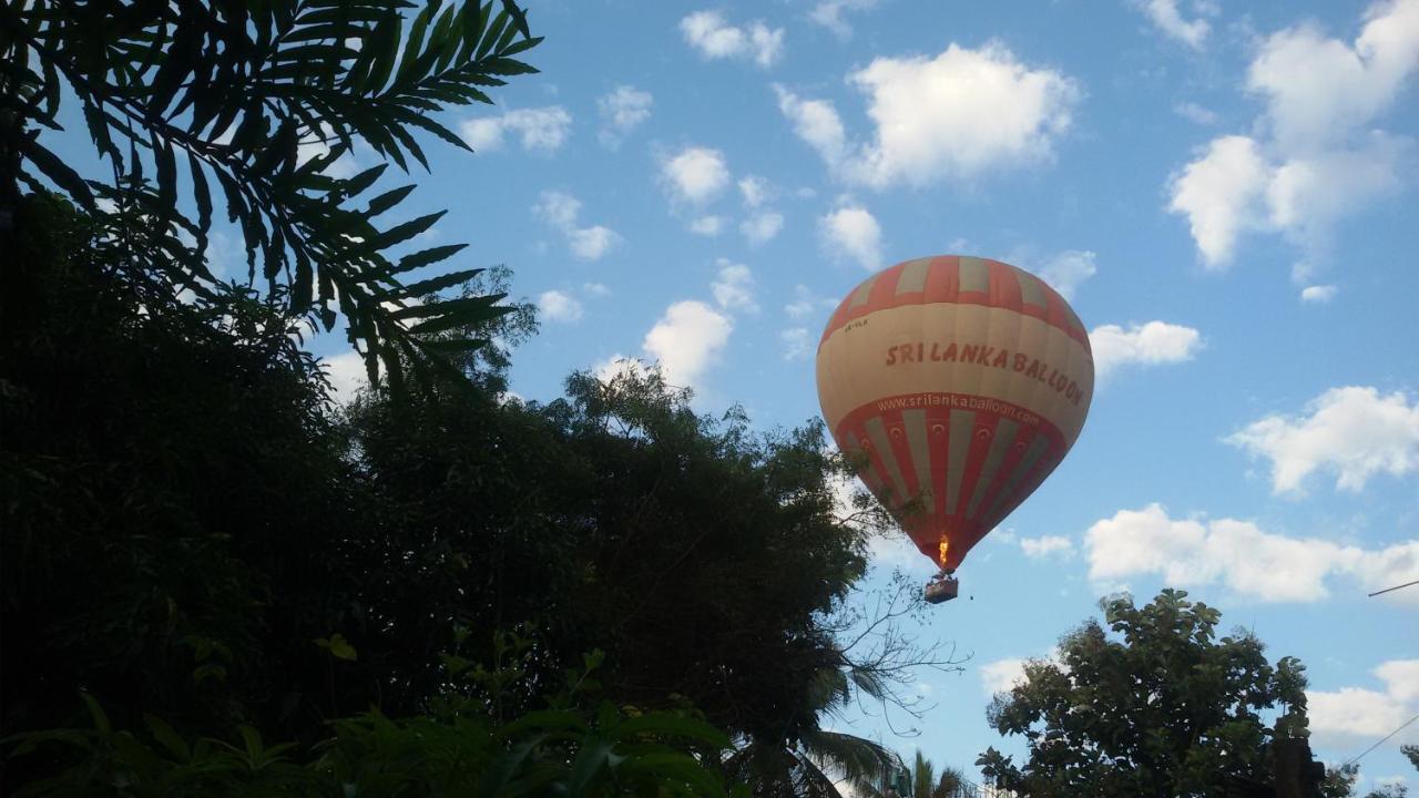 Nilambara Lake View Dambulla Zewnętrze zdjęcie