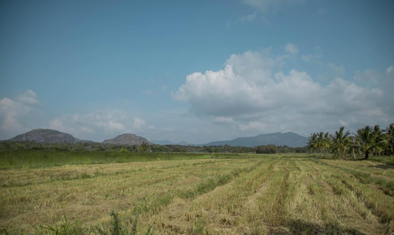 Nilambara Lake View Dambulla Zewnętrze zdjęcie