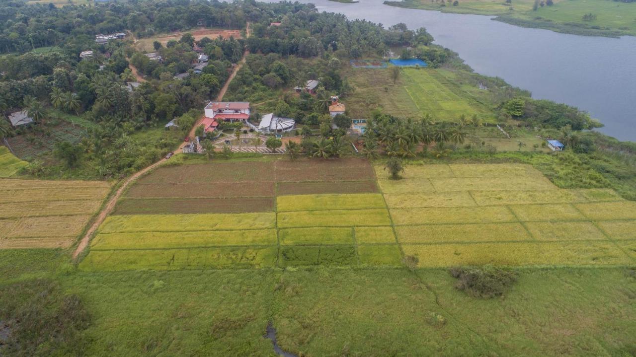 Nilambara Lake View Dambulla Zewnętrze zdjęcie